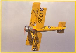 Avro Tutor